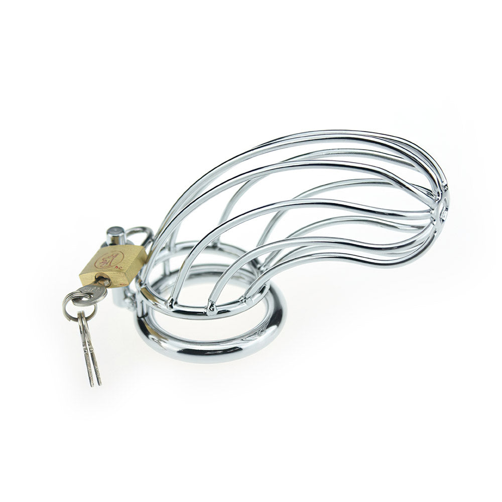 Permanent Chastity Lock