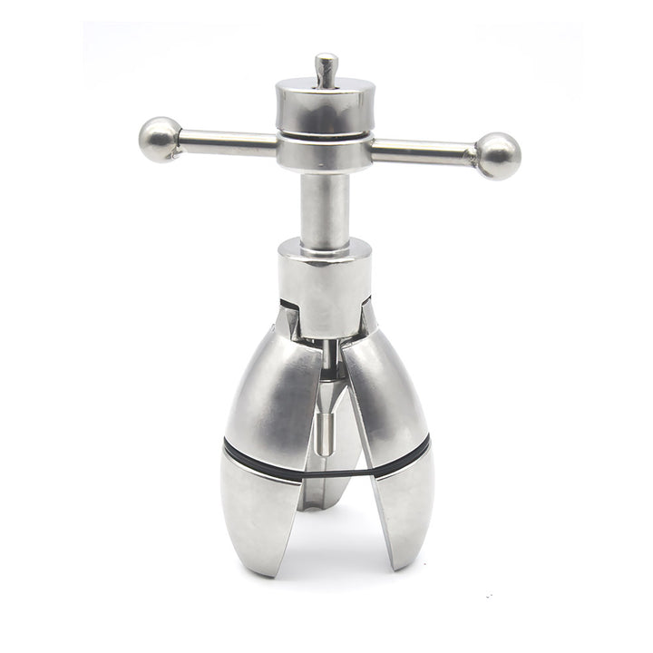 Locking Butt Plug – MChastity