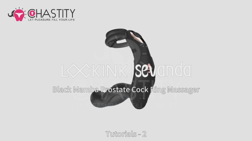 E-Stim & Vibration Prostate Massager Video