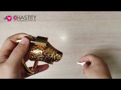 Viper Chastity Cage Video
