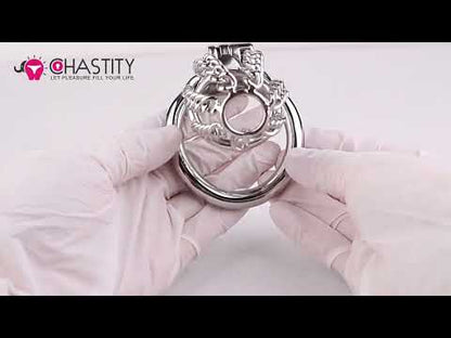 Fixed Steel Link Chastity Cage Video