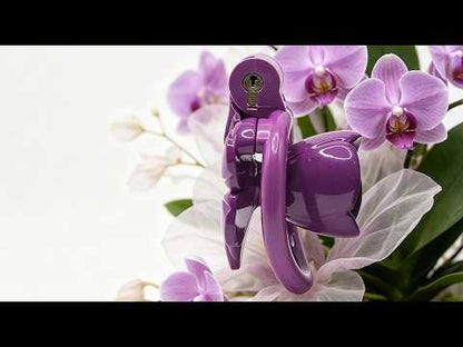 Blooming Flower Shrinking In Chastity Video