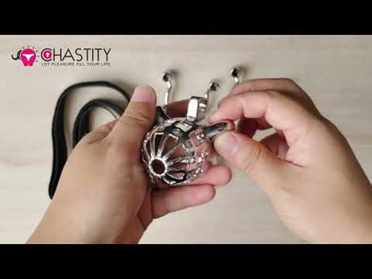 Removable PA Chastity Lock (Dual-Mode Switching) Video